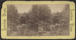 View in Central Park.