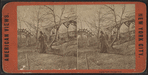 Rustic rest, Central Park.
