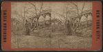 Rustic rest, Central Park.