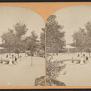 The Esplanade, Central Park, N.Y.