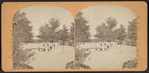 The Esplanade, Central Park, N.Y.