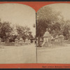 Eighth Avenue entrance, Central Park, N.Y.
