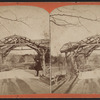 Exterior of rustic arbor.