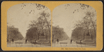 Mall, Central Park, New York.