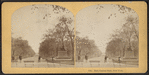Mall, Central Park, New York.