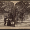 Lovers' Lane, Central Park, New York, U.S.A.