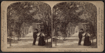 Lovers' Lane, Central Park, New York, U.S.A.