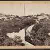 Central Park.