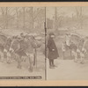 Donkeys in Central Park, New York.