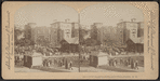 Herd of elephants, Central Park, N.Y.