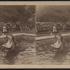 Hippopotamus feeding, Central Park, N.Y.