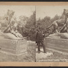 Tigress and Cubs, Central Park, N.Y.