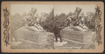 Tigress and Cubs, Central Park, N.Y.