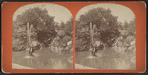 Fountain west of Conservatory Lake, Central Park, N.Y.