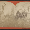 The Falconer, Central Park, N.Y.