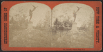 The Falconer, Central Park, N.Y.