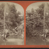 Art and landscape scenery, Central Park, N.Y. [Fountain at Fifth Avenue entrance.]