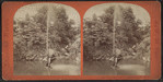 Art and landscape scenery, Central Park, N.Y. [Fountain at Fifth Avenue entrance.]