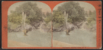 Fountain, Central Park, N.Y.