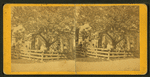 Adults and children posing behind the fences of their home.