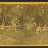 Adults and children posing in the garden.
