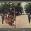 The goat carriage. Driving in the park.
