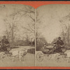 The goat carriage in Central Park.