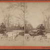 Goat carriage, Central Park.