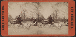 Children's carriage, Central Park.