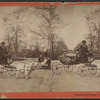 Children's carriage, Central Park.