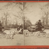 Children's carriage, Central Park.