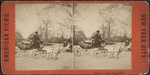 Children's carriage, Central Park.