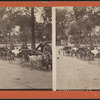Central Park, N.Y.