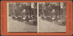 Central Park, N.Y.