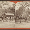 Central Park, watering cart.