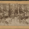 Goat carriage, Central Park, N.Y.