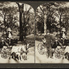 The children's delight, Central Park, N.Y. city, U.S.A.
