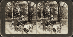 The children's delight, Central Park, N.Y. city, U.S.A.