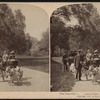 The goat carriages, Central Park, New York, U.S.A.