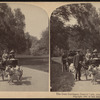 The goat carriages, Central Park, New York, U.S.A.