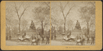 The goat team, Central Park, New York.
