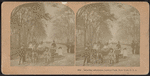 Saturday afternoon, Central Park, New York, U.S.A.