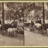 View in Central Park, New York.
