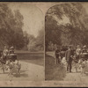 The goat carriages, Central Park, New York, U.S.A.