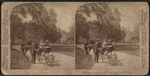 The goat carriages, Central Park, New York, U.S.A.