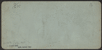 Fountain and part of Terrace, Central Park, N.Y.