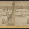 View from Terrace, Bridge Central Park, N.Y.