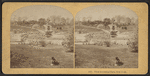 View in Central Park, New York.