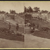 View in Central Park, New York.
