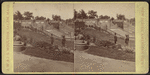 View in Central Park, New York.